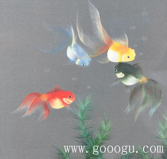 金魚自由自在的游動、展現(xiàn)出形態(tài)優(yōu)美的舞姿！